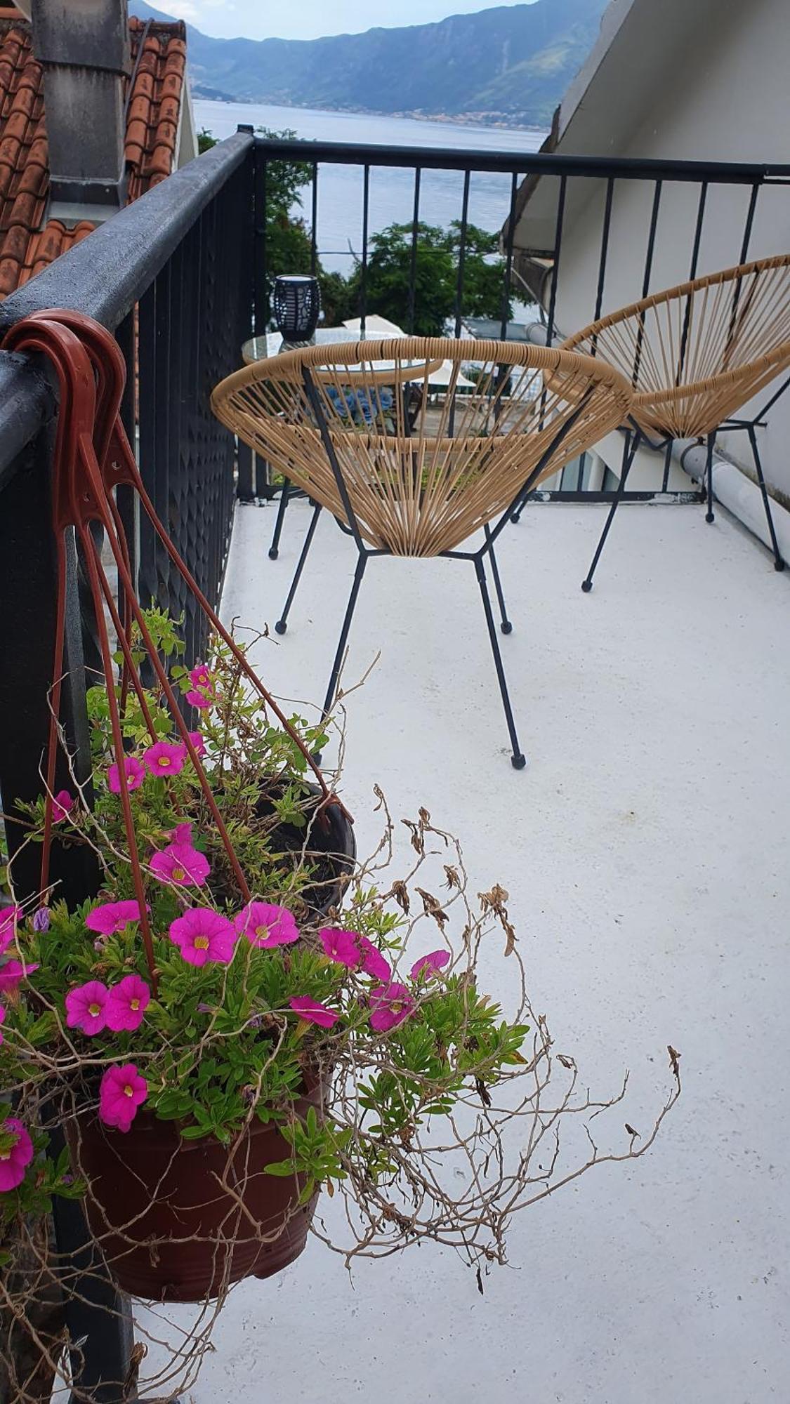 Sea Side Apartment 코토르 객실 사진